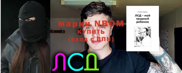 ПСИЛОЦИБИНОВЫЕ ГРИБЫ Абдулино