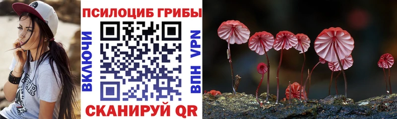 Галлюциногенные грибы мухоморы  Курчатов 